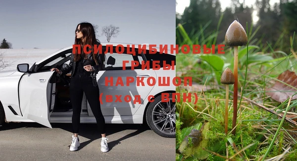 ПСИЛОЦИБИНОВЫЕ ГРИБЫ Арсеньев