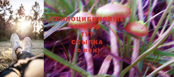 бутират Аркадак