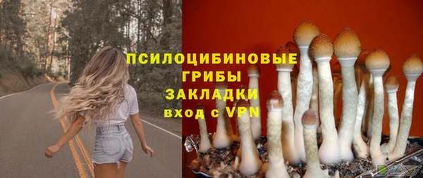ПСИЛОЦИБИНОВЫЕ ГРИБЫ Арсеньев