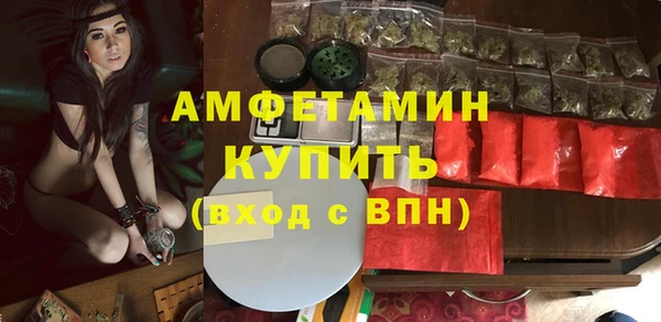 ПСИЛОЦИБИНОВЫЕ ГРИБЫ Арсеньев