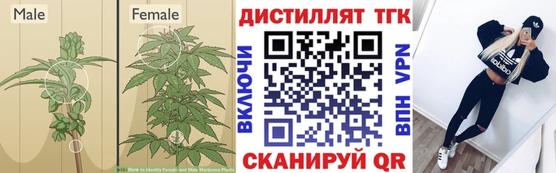 Дистиллят ТГК гашишное масло  Фёдоровский 